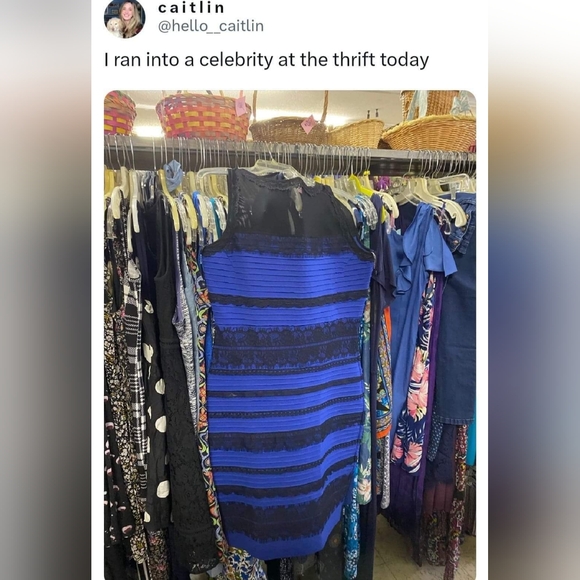 Meet your Posher, Erin - Picture 6 of 16